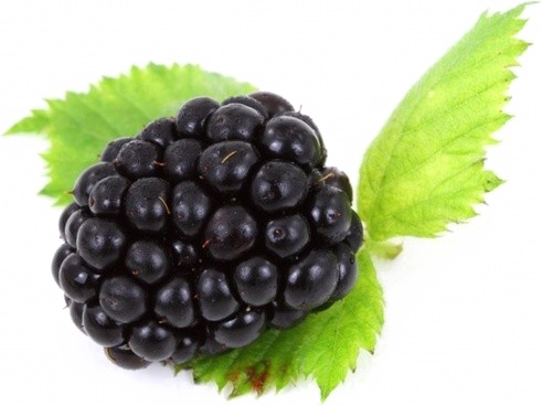 Blackberry Fruit Free PNG Image