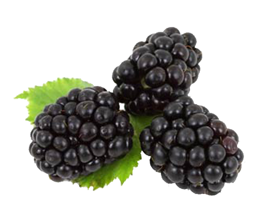 Blackberry Fruit PNG Background Image