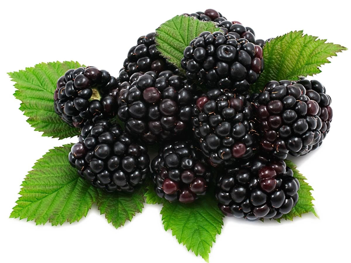 Blackberry Fruit PNG Download Image