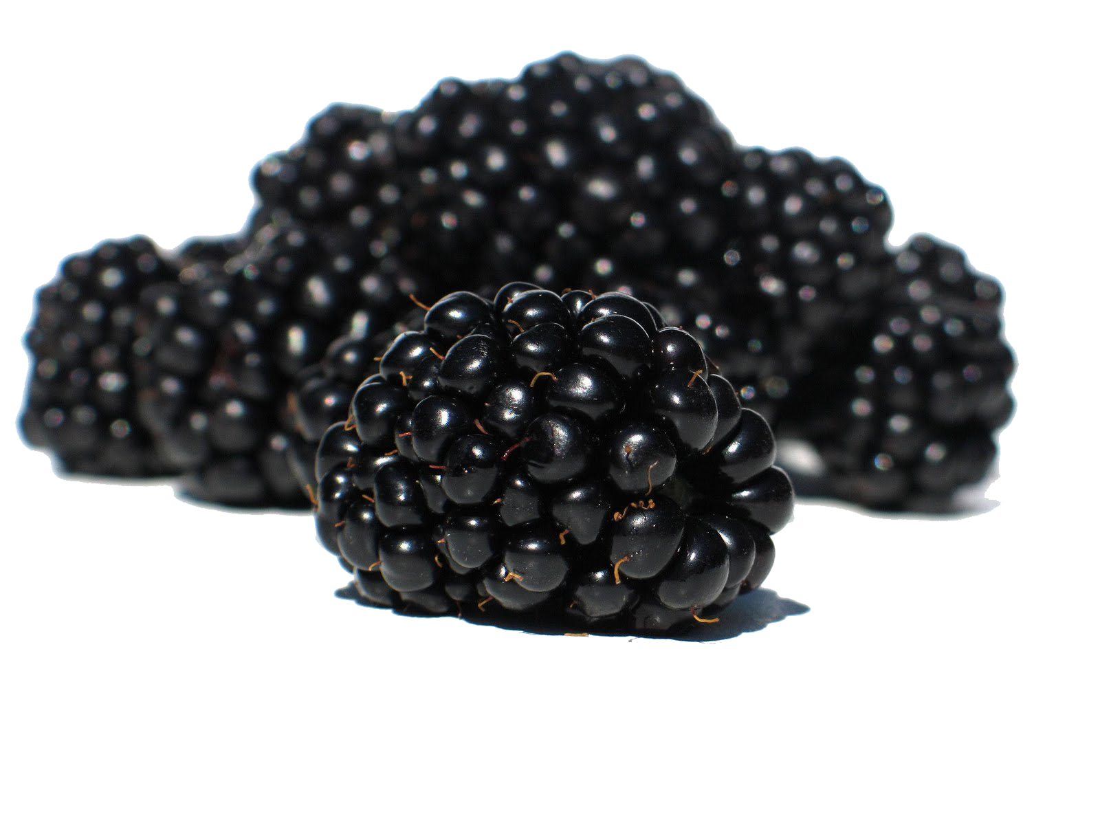 Blackberry Fruit PNG Photo