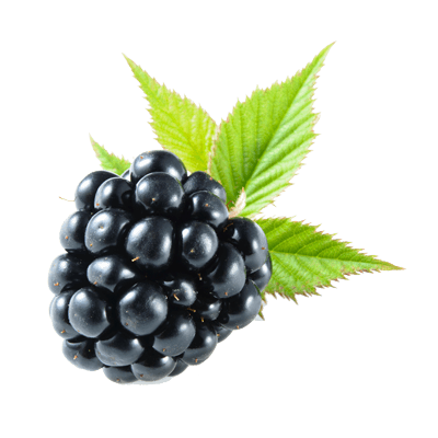 Blackberry Fruit PNG Pic