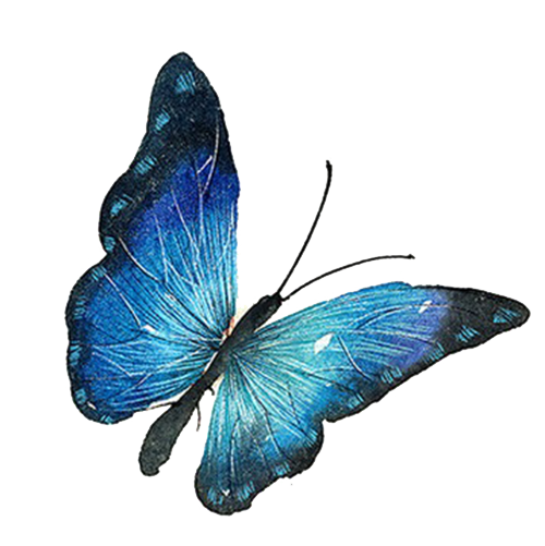 Gambar latar belakang PNG kupu-kupu biru