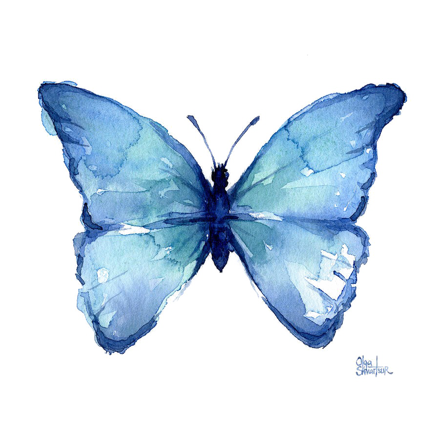 ดาวน์โหลด Blue Butterfly PNG ฟรี