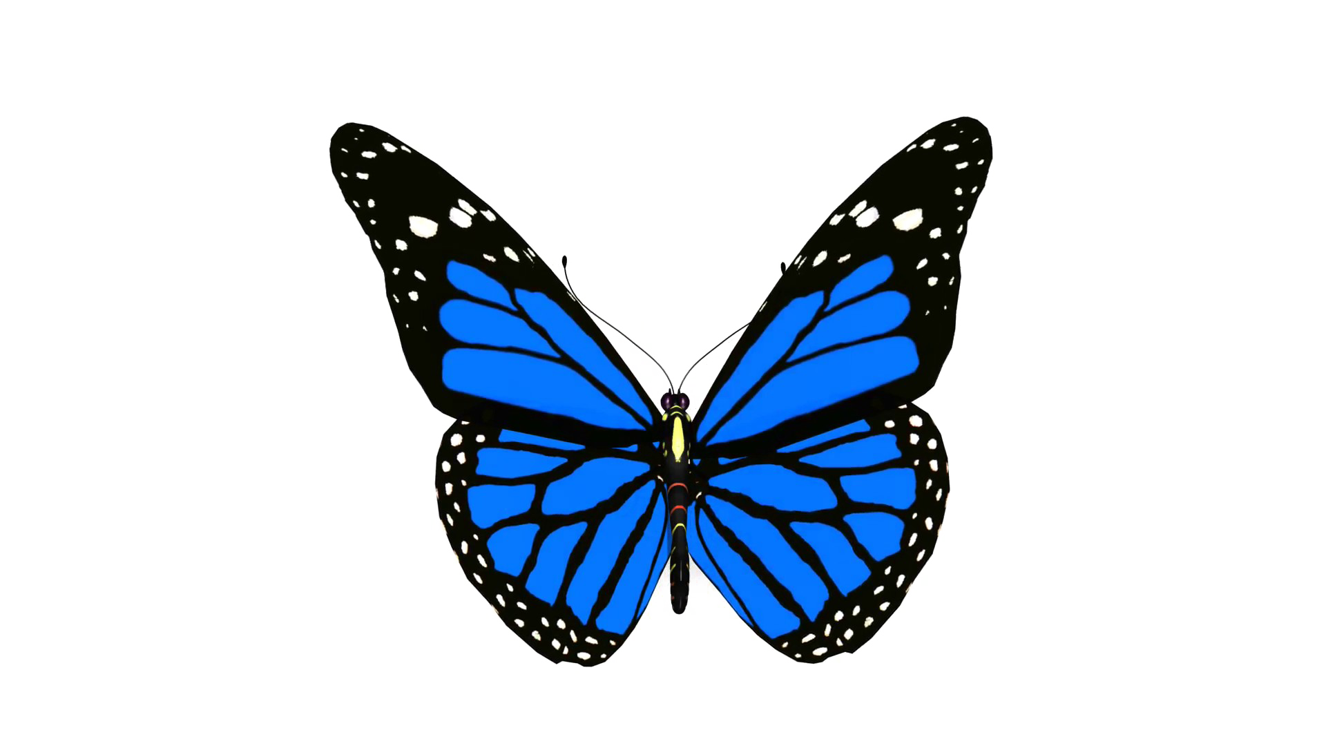 블루 나비 PNG 그림