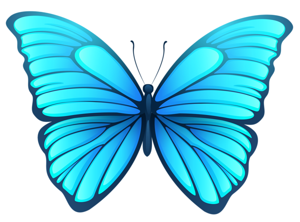파란색 나비 투명 이미지