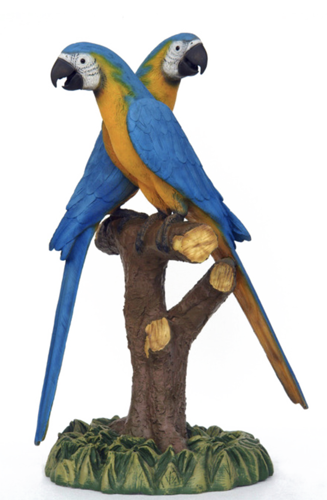 Blue Parrot прозрачные изображения