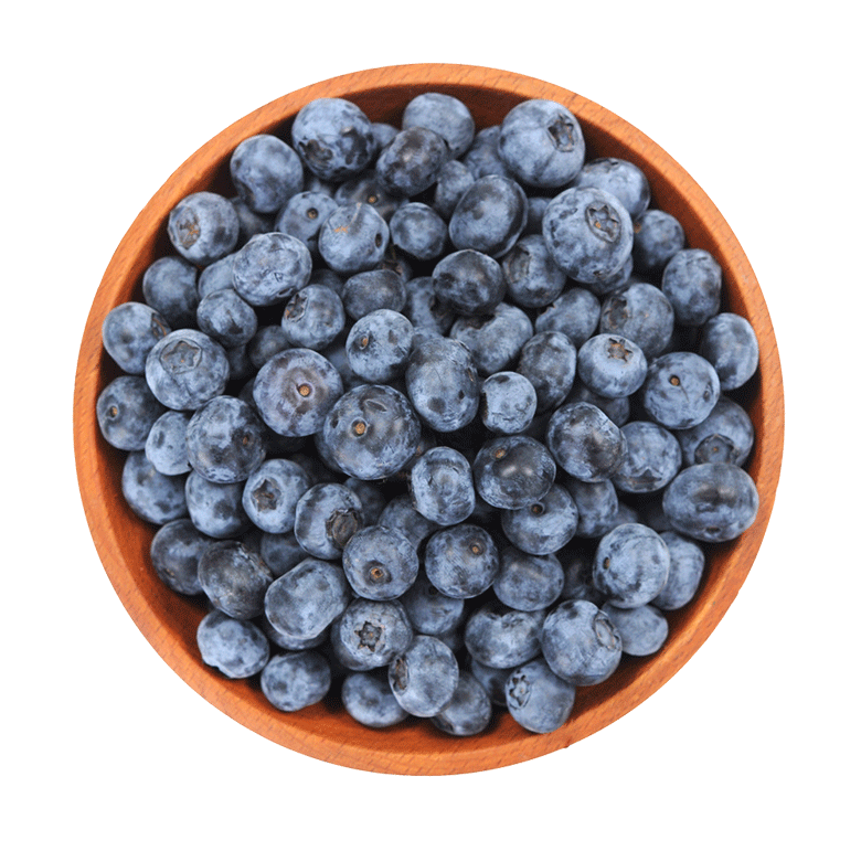 Blueberries PNG Высококачественное изображение