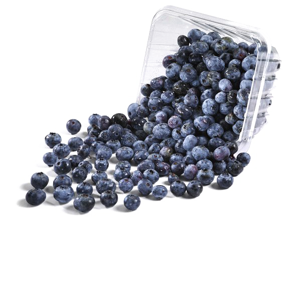 Fundo da imagem de PNG blueberries