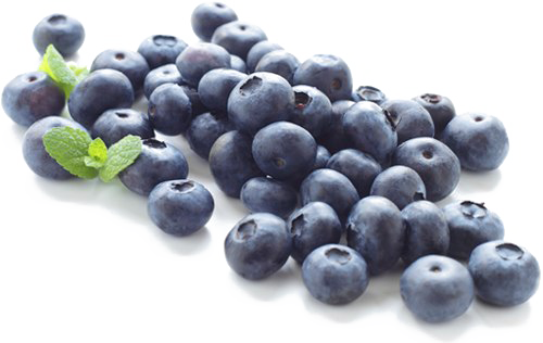 Blueberries PNG imagem