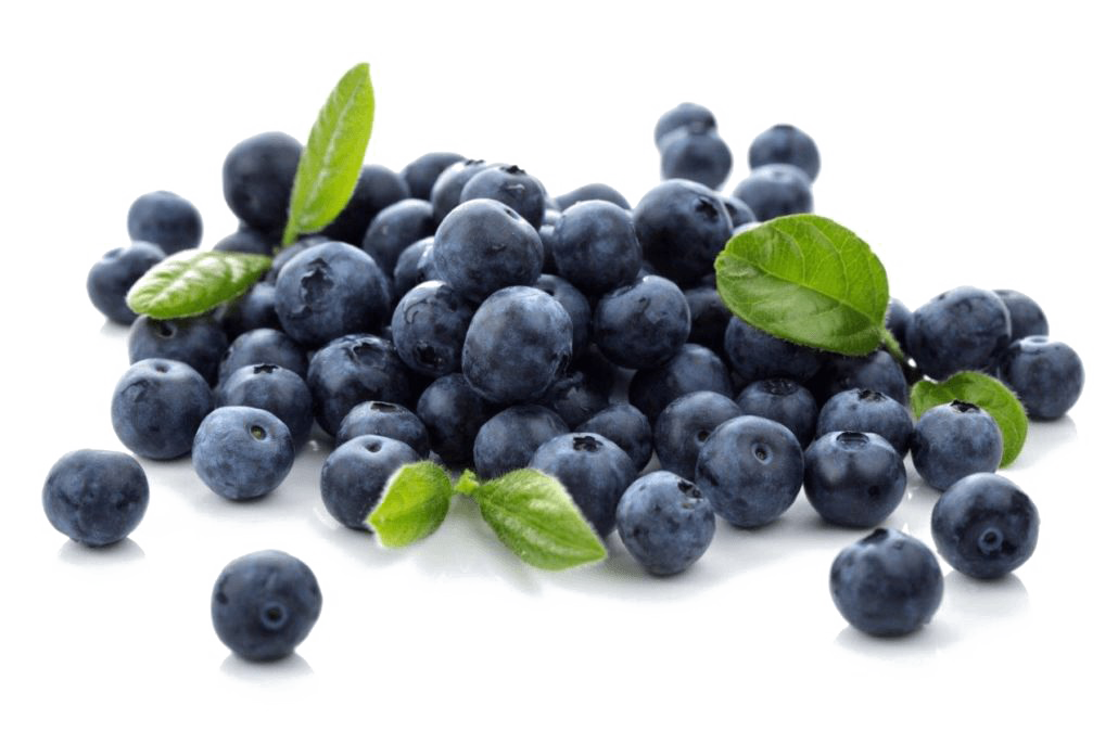 Blueberries PNG Photo