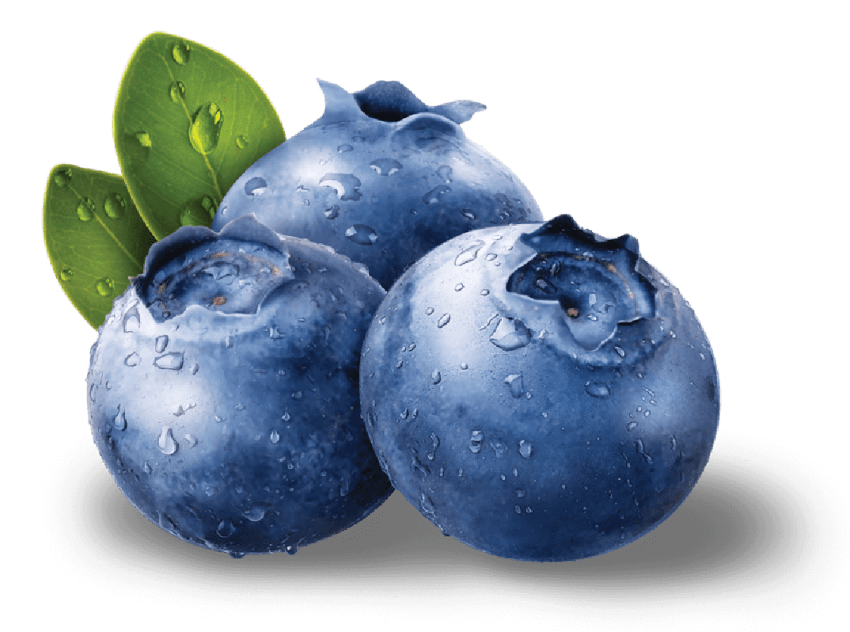 Blueberries PNG Pic