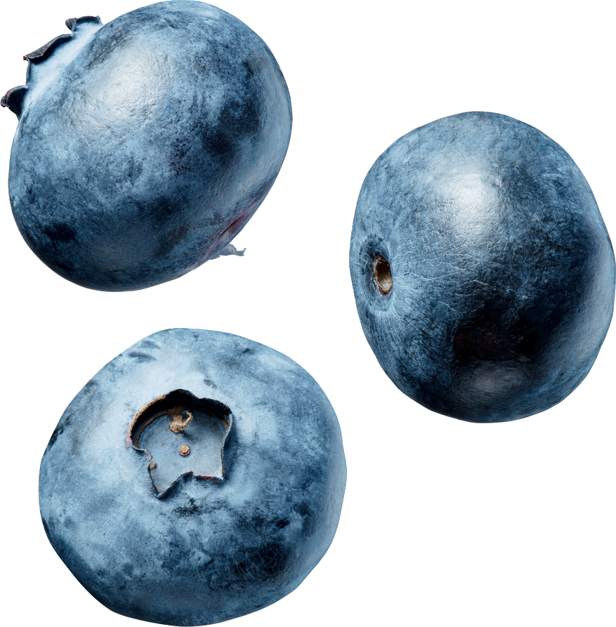 Imagem transparente de PNG blueberries