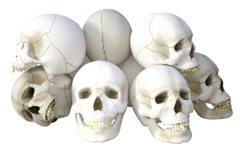 Bone Skull PNG Download Image