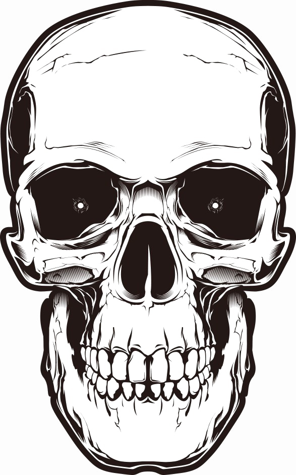 Bone Skull PNG Image Background