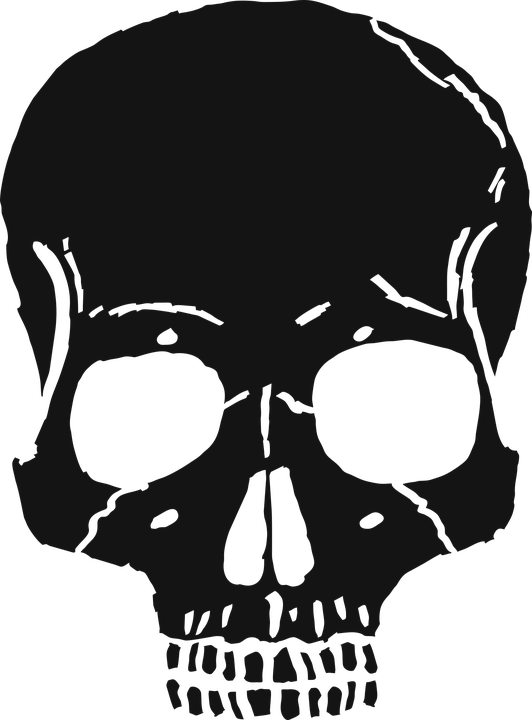 Bone Skull PNG Picture