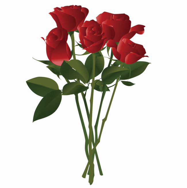 Bouquet Of Rose Flowers PNG Pic