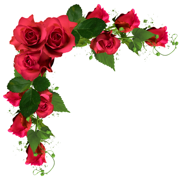 Bouquet of Rose Flowers Free PNG Image