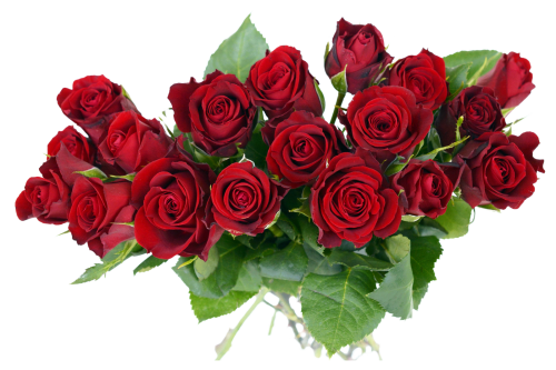 Blumenstrauß von Rosenblumen-PNG-Bild mit transparentem Hintergrund