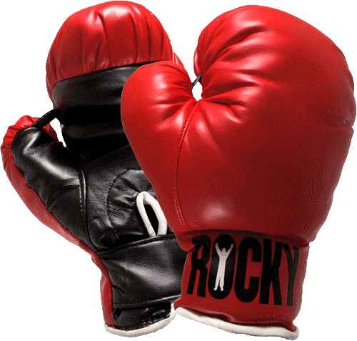 Boxing Gloves PNG High-Quality Image