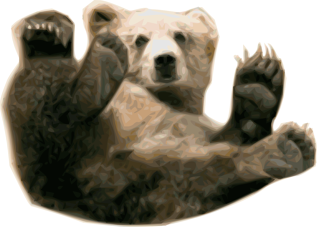 Brown Bear PNG High-Quality Image