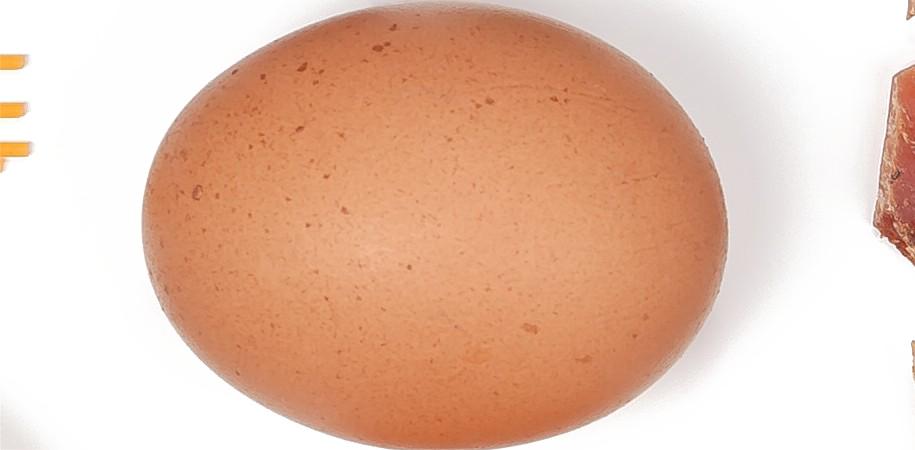 Brown Egg PNG Download Image