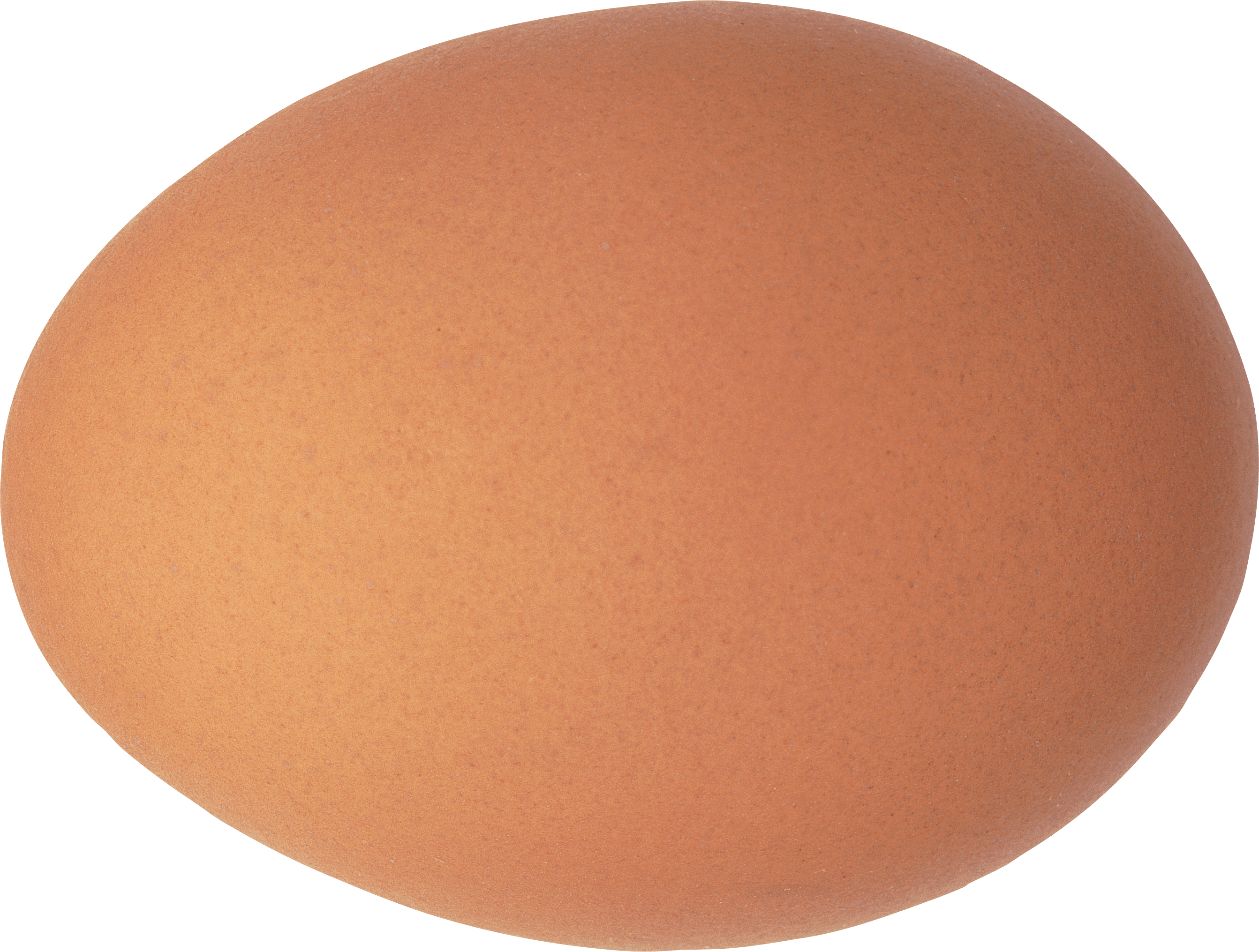 Коричневое яйцо PNG прозрачное изображение