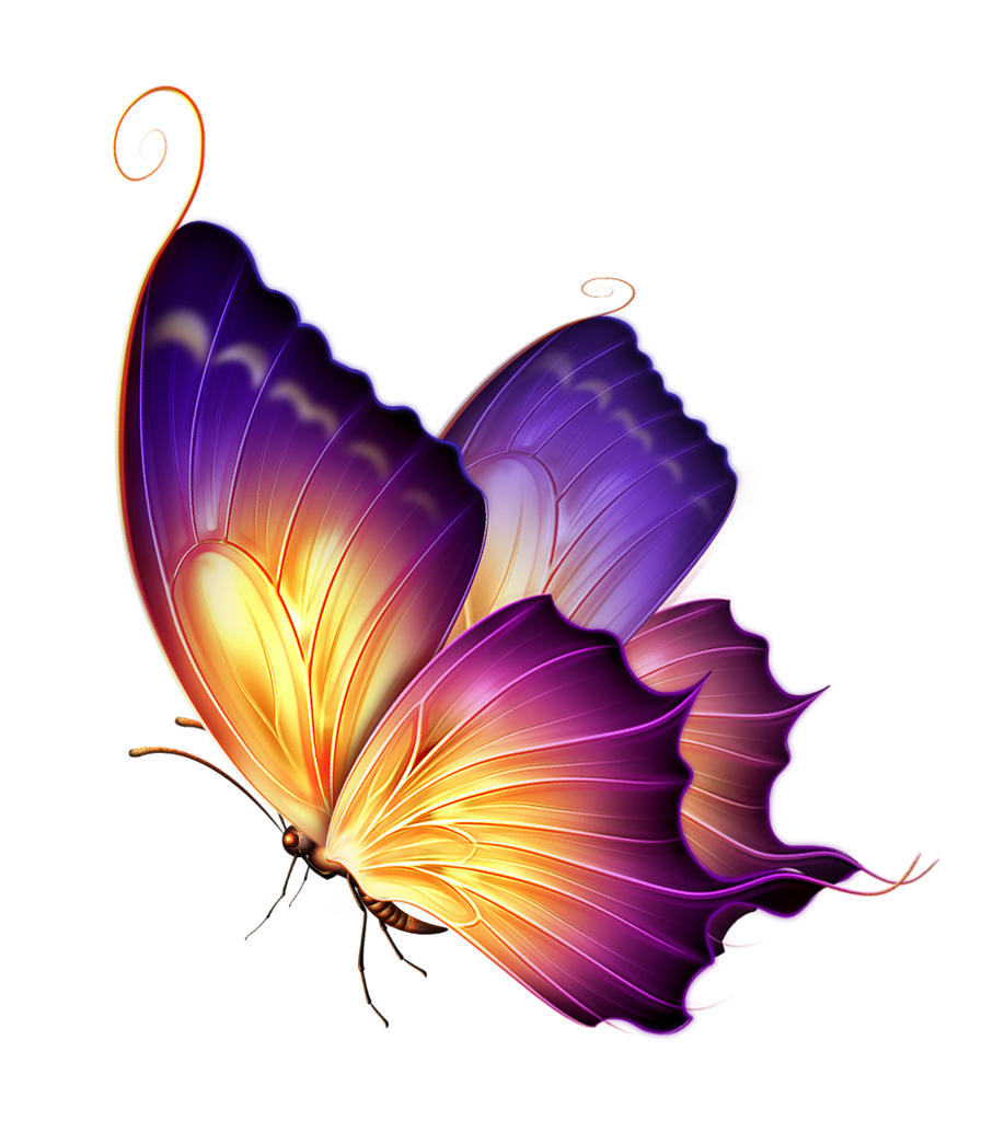 Schmetterlinge Herunterladen PNG-Bild