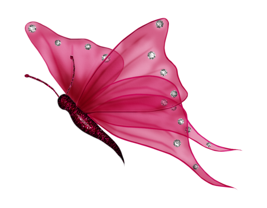 Butterflies Free PNG Image