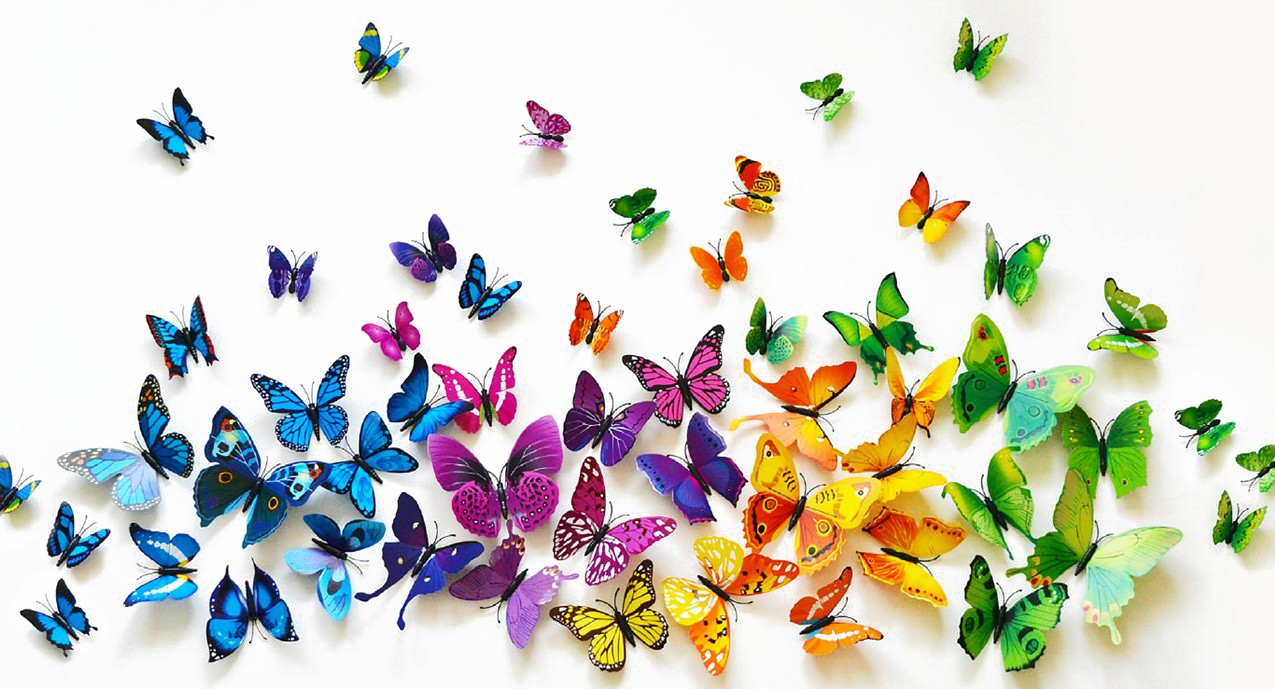 Butterflies PNG Background Image