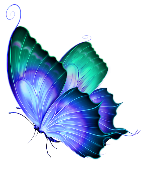 Butterflies PNG descargar imagen