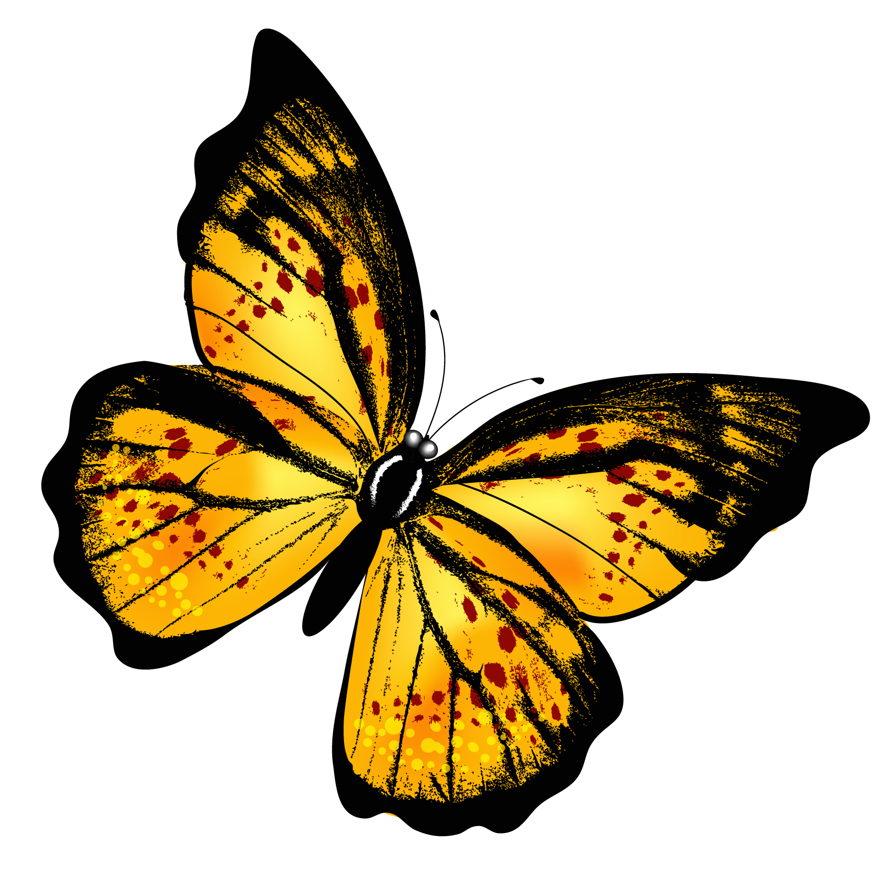 Бабочки PNG прозрачное изображение