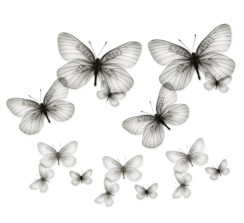 Mariposas Transparentes