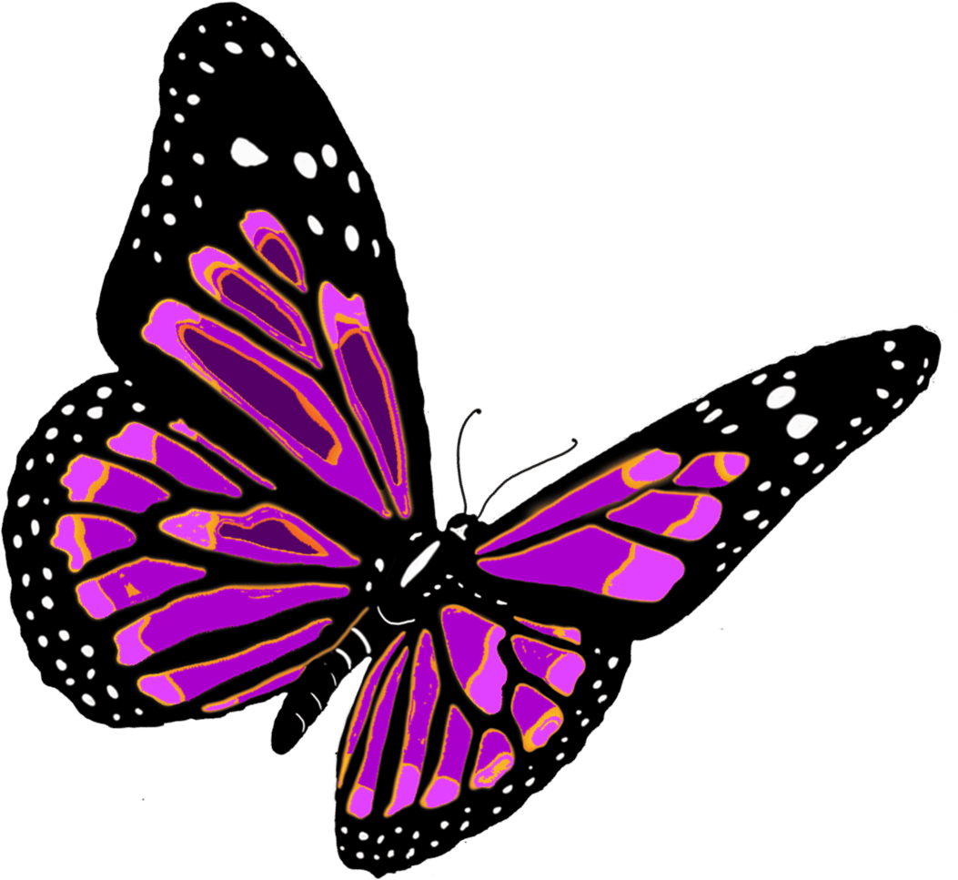 Butterfly PNG изображение фон
