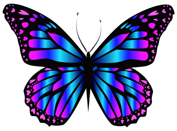 Imagen PNG de la mariposa