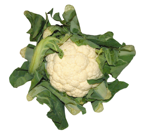 Cauliflower Download Transparent PNG Image