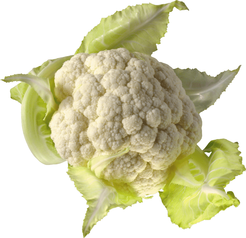 Cauliflower PNG Pic