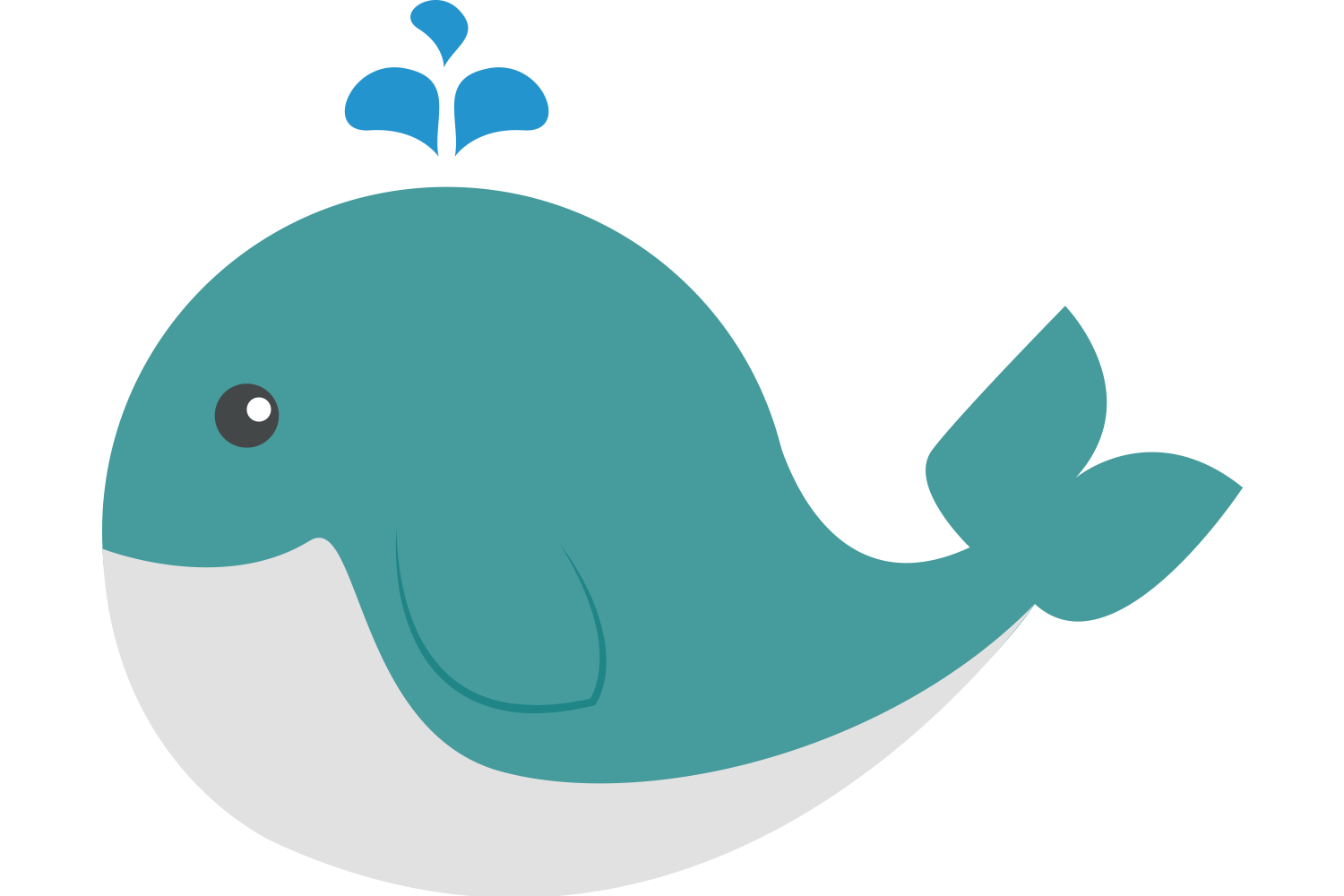Cetacea PNG Transparent Image