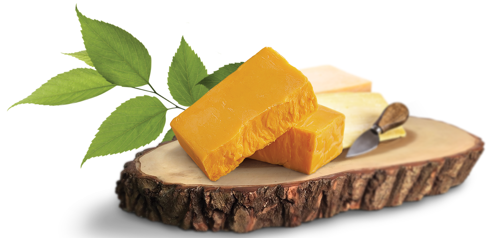 Cheese PNG Picture