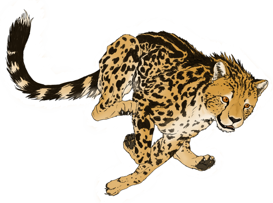 Cheetah Free PNG Image