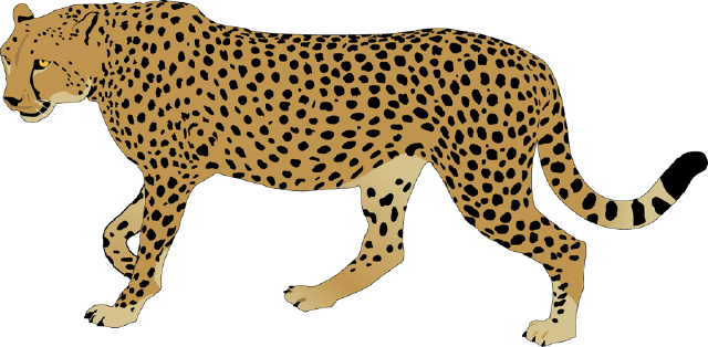 Cheetah PNG Image Background