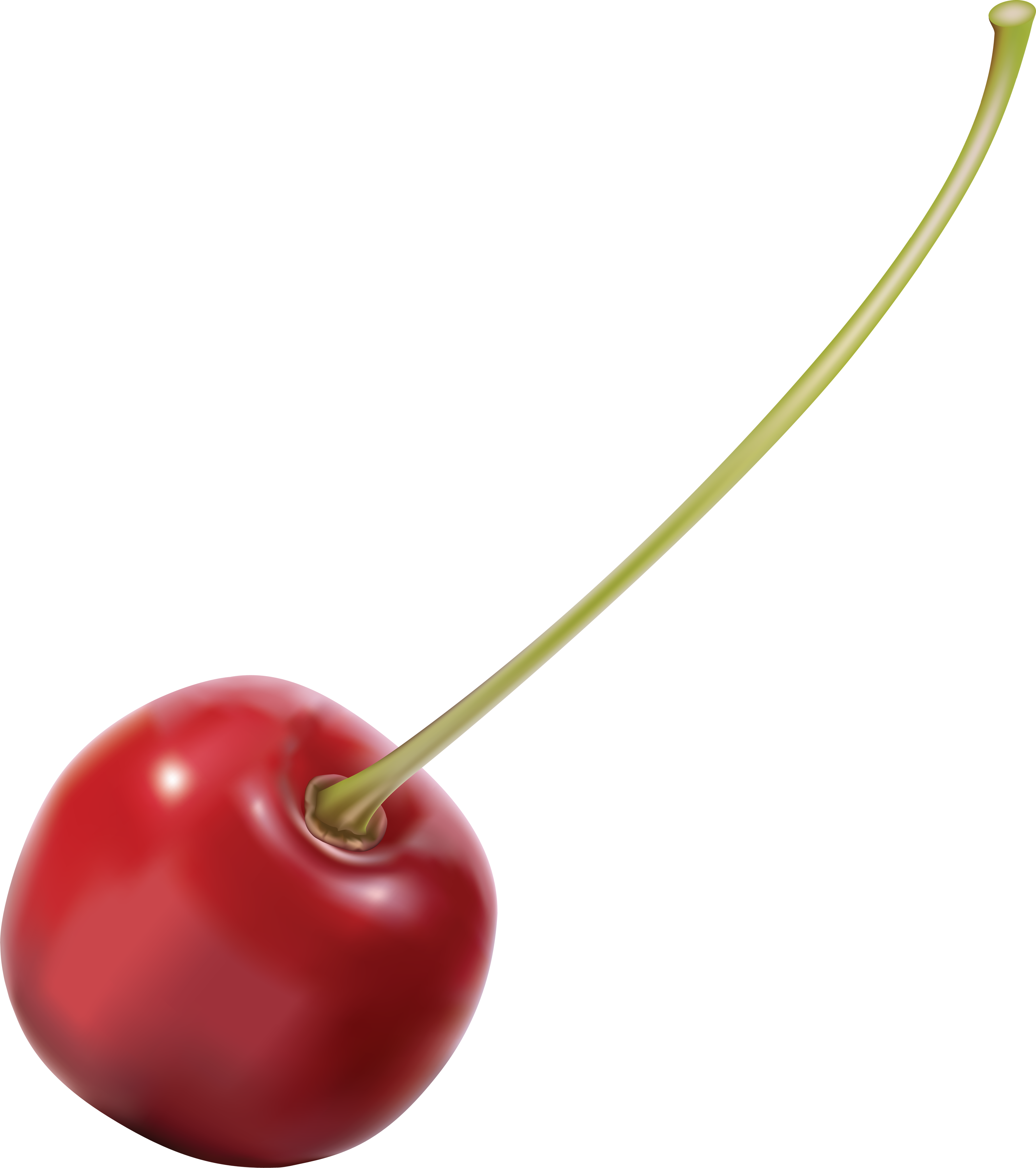 Cherry PNG Image with Transparent Background