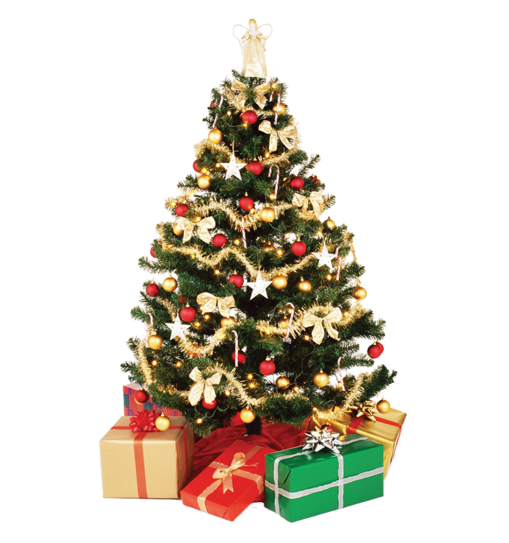 Christmas Tree PNG Download Image
