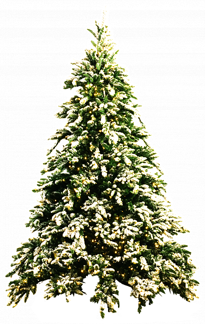 شجرة عيد الميلاد PNG صورة