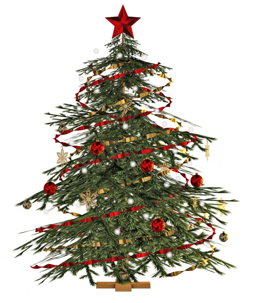 Christmas Tree PNG Photo
