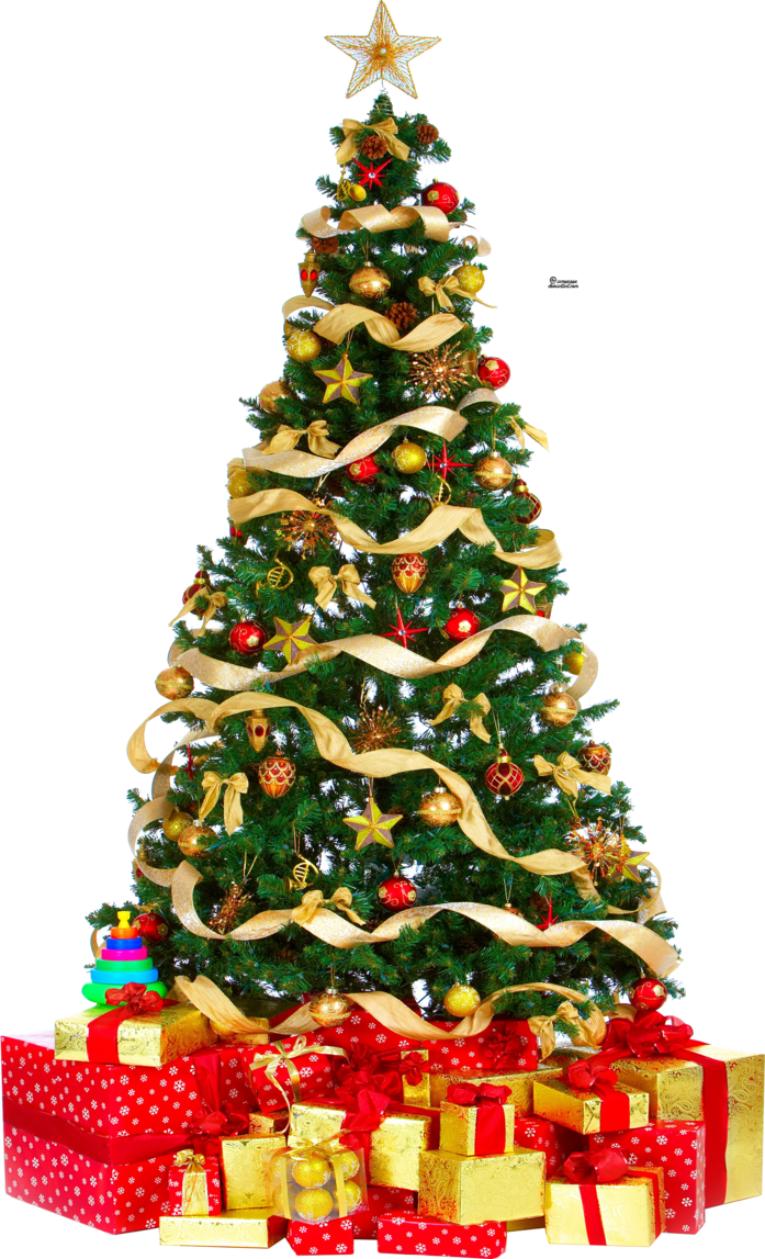 Christmas Tree PNG Pic