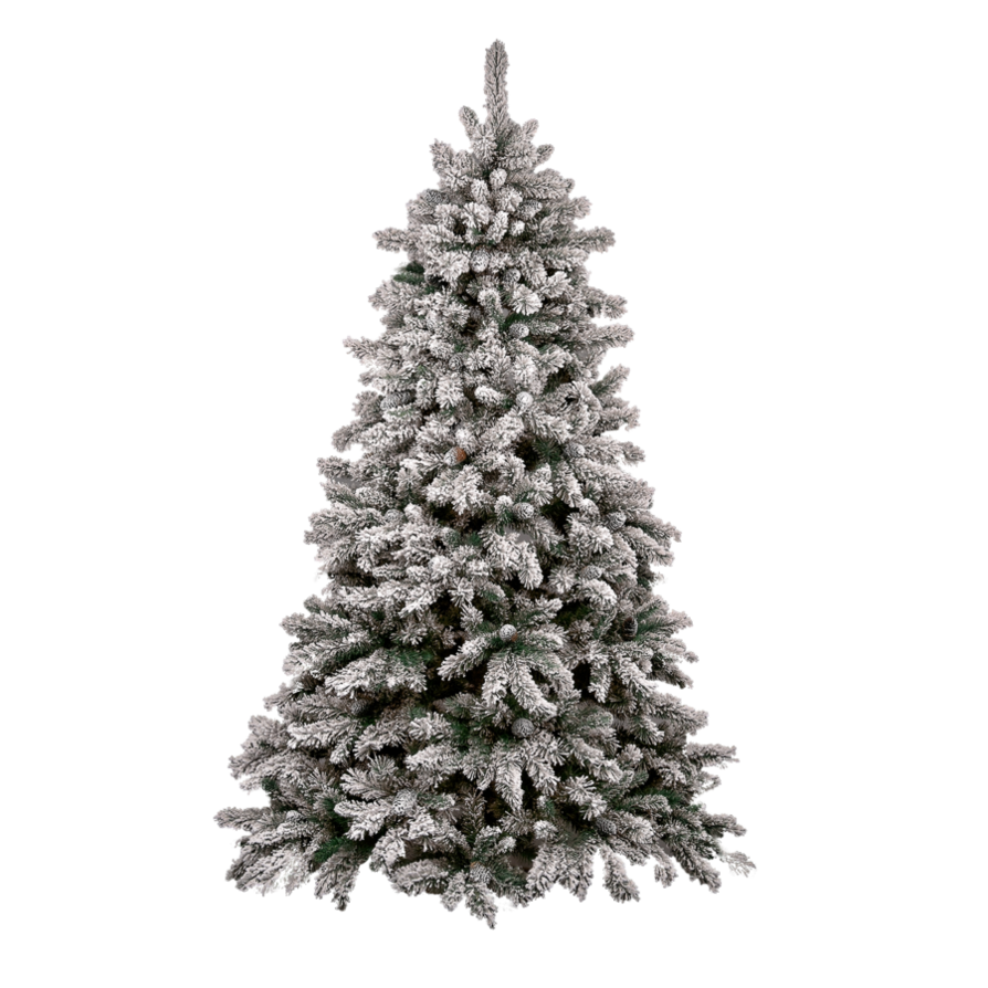 شجرة عيد الميلاد صورة شفافة