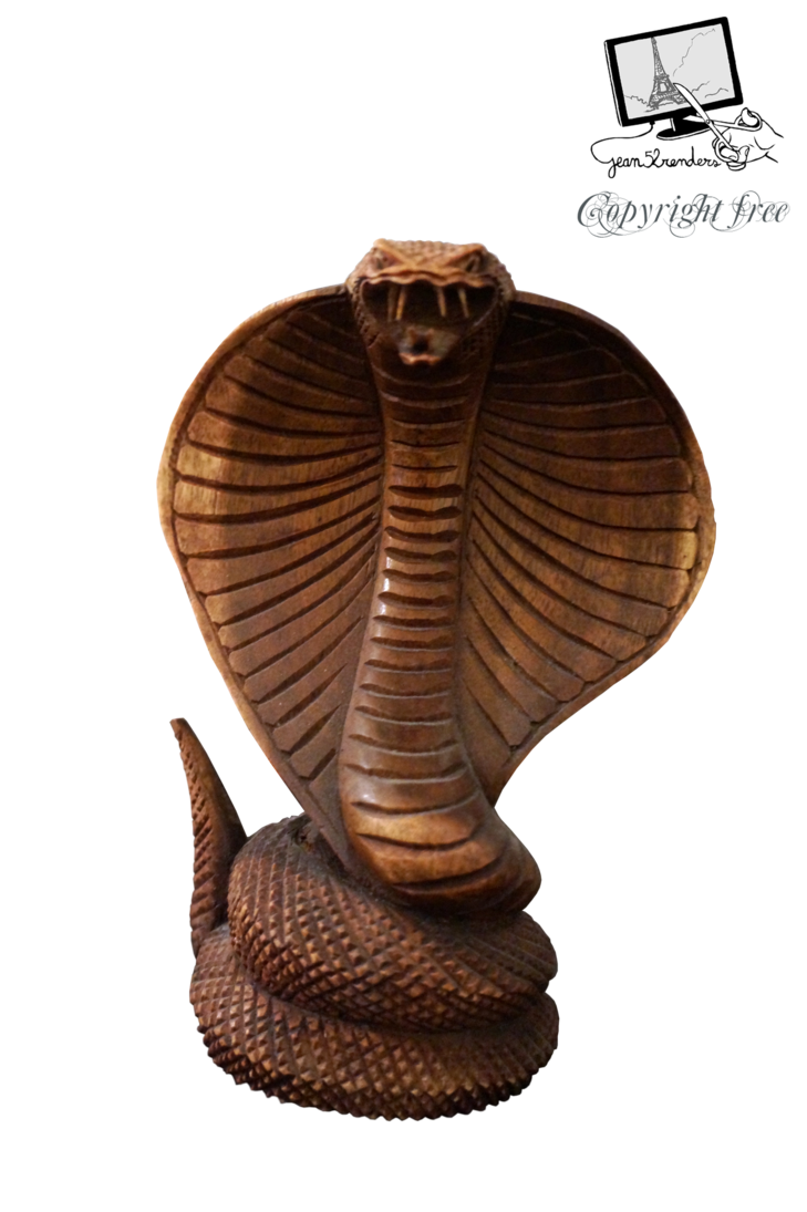 Cobra PNG High-Quality Image