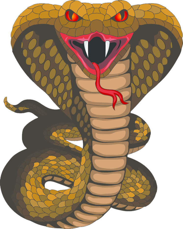 Cobra PNG Image with Transparent Background