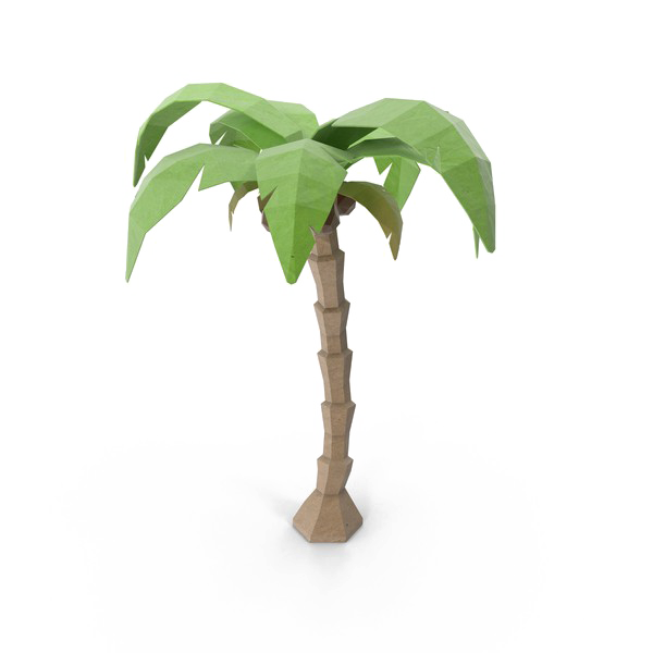 Coconut Tree Download PNG-Afbeelding