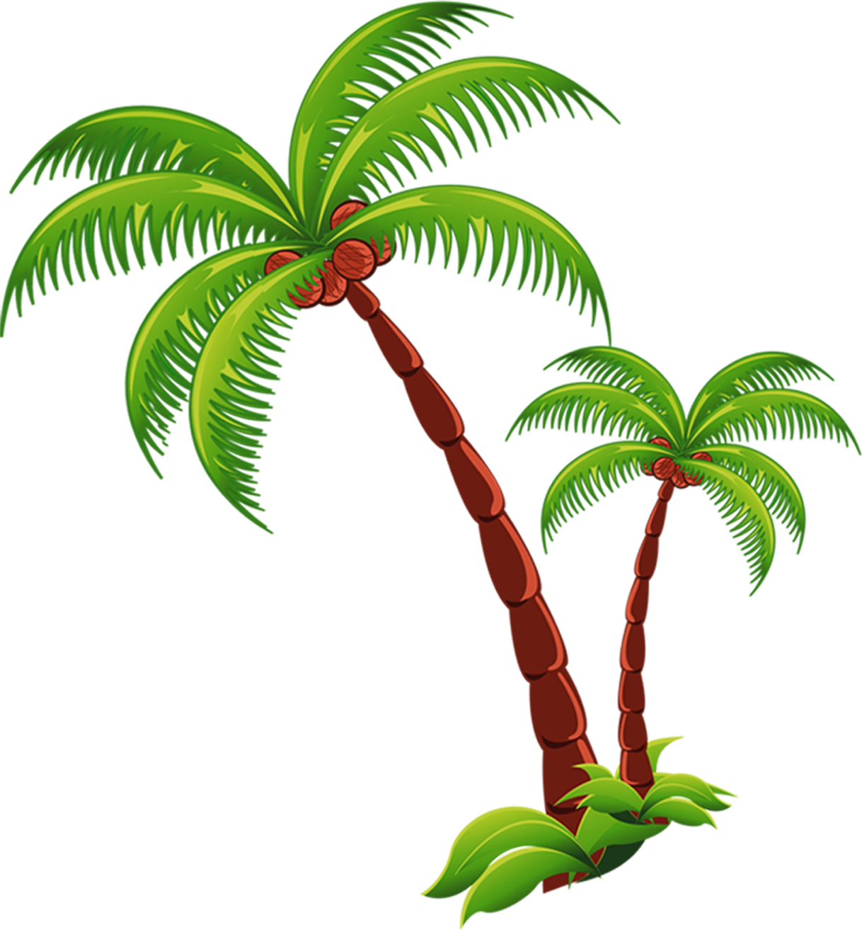 Gambar PNG Pohon Kelapa